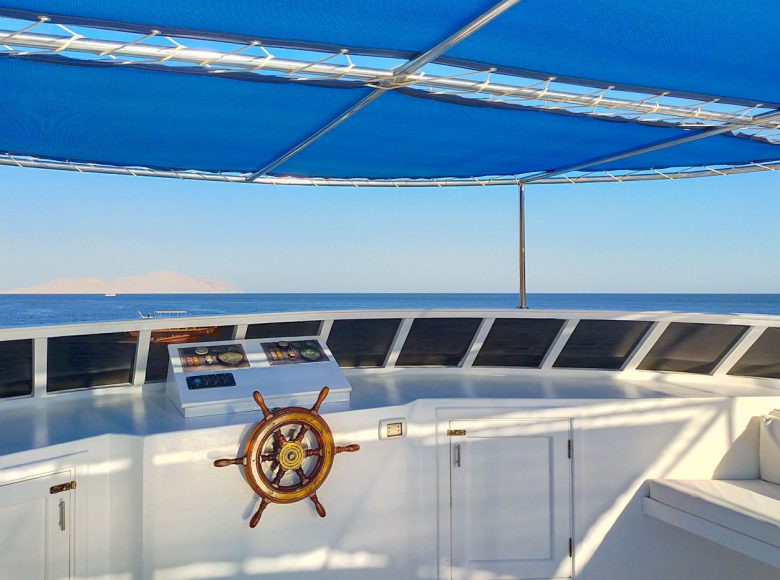 freedom-4-diving-safari-red-sea-liveaboards-20230319163302